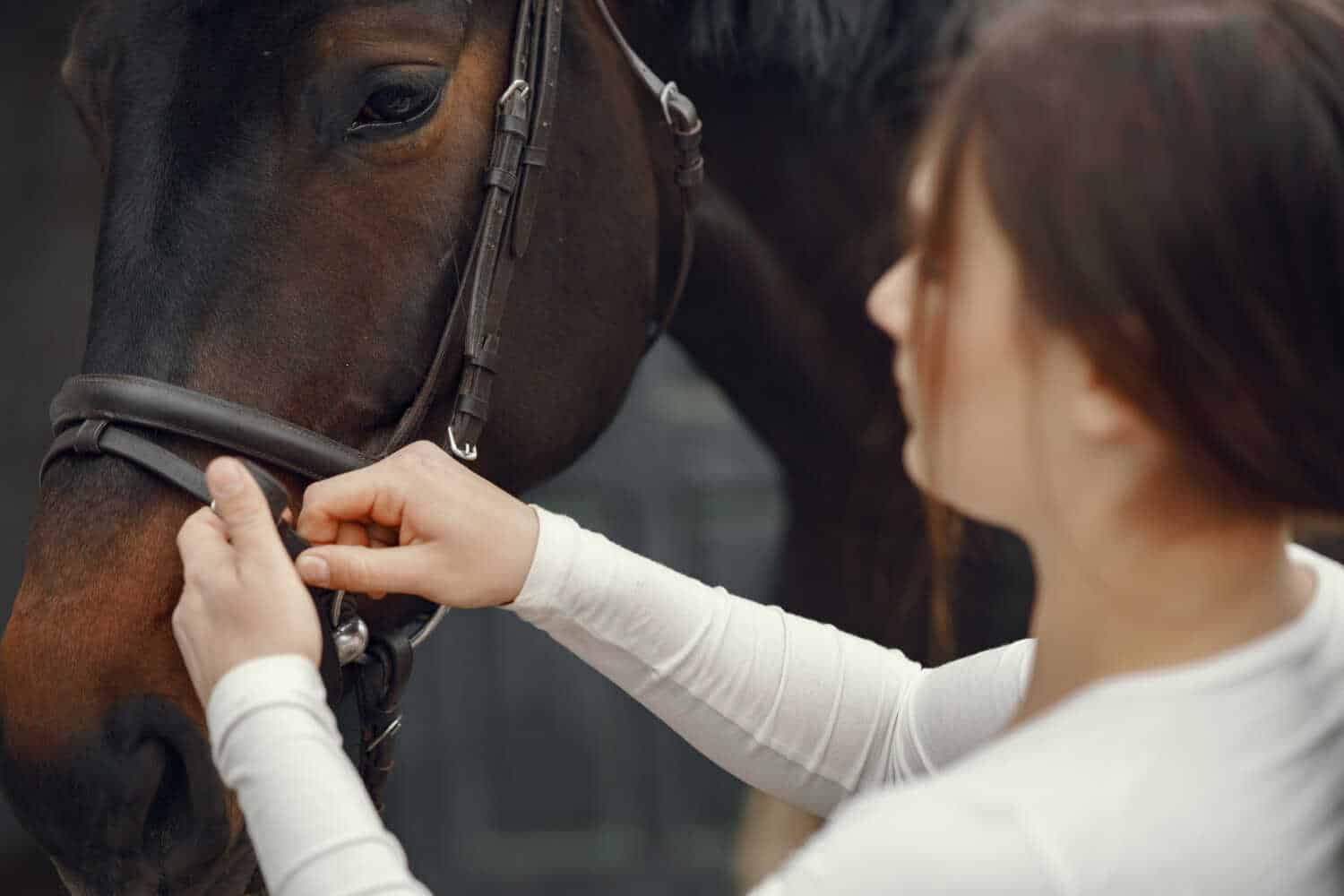 Wyposażenie konia - co warto wiedzieć?