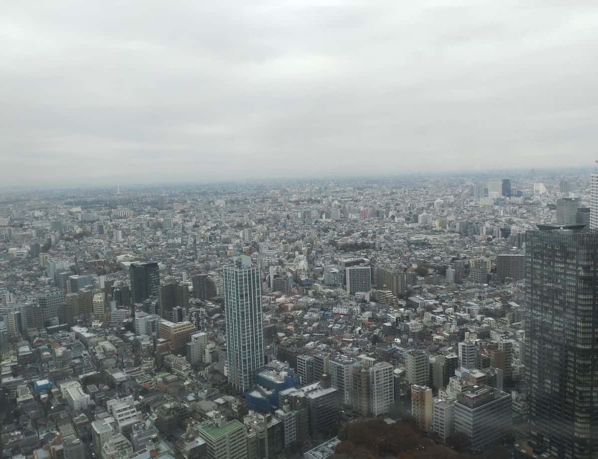 Fot 17. Agnieszka Kłos | Widok na Tokio z 46. piętra