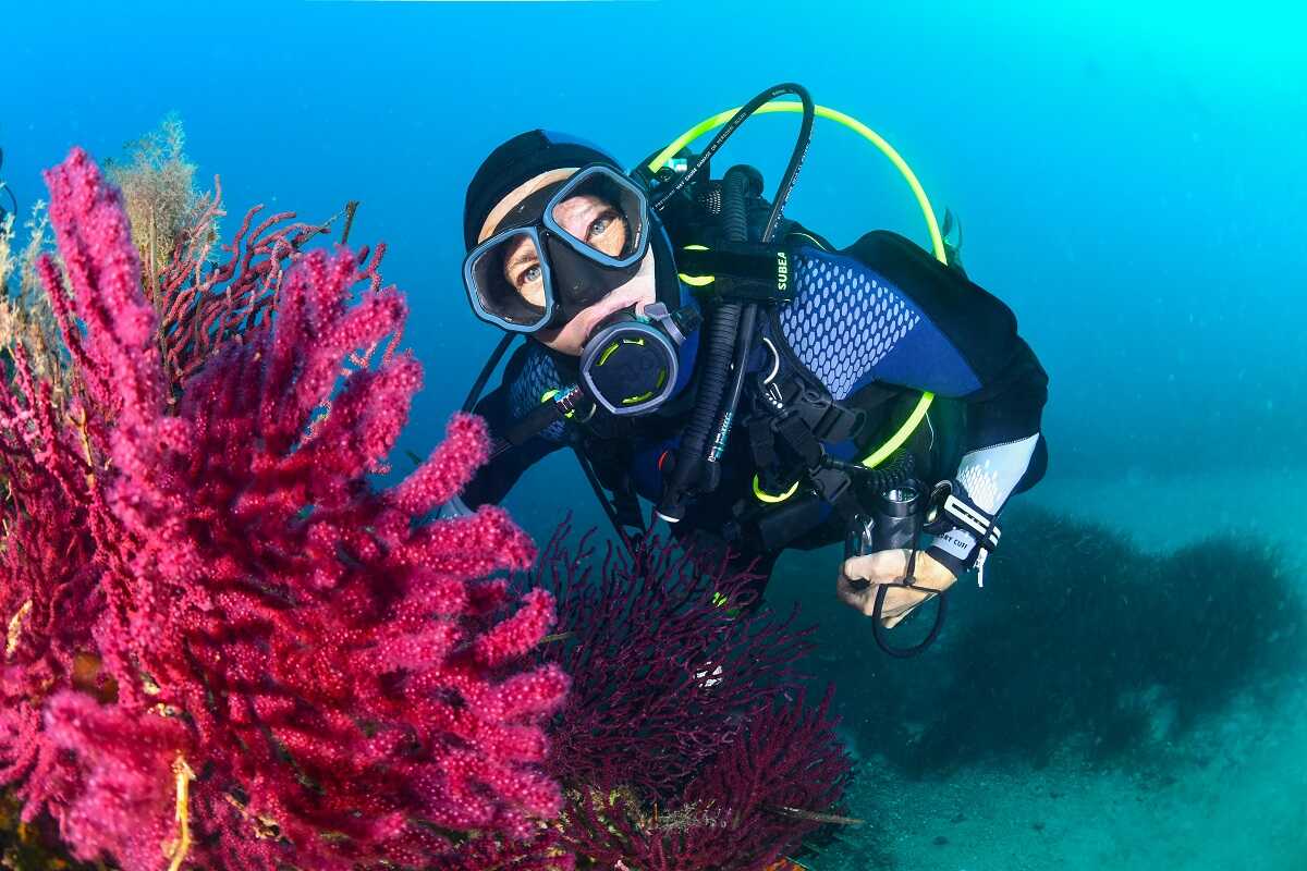 Kobieta podczas nurkowania spogląda na rafę koralową