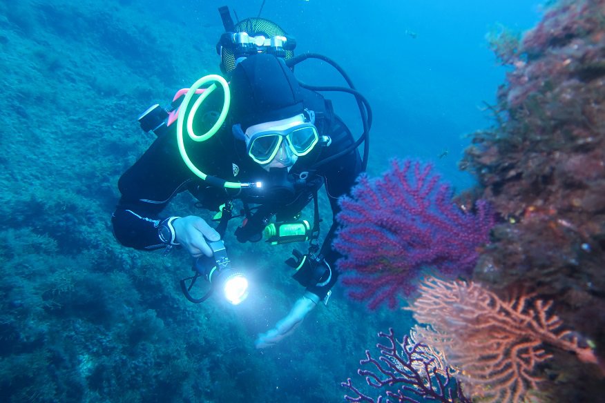 Najlepsze miejsca do nurkowania na rafie koralowej